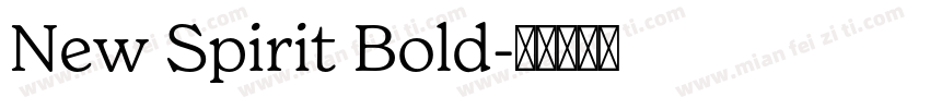 New Spirit Bold字体转换